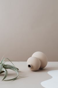 Kaboompics - Sculptural Ceramic Vases with Green Branch on Minimal Beige Interior Background