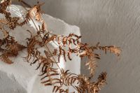 Kaboompics - Dried Foliage Over White Textured Ceramic Vessel