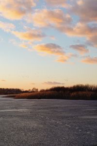 Kaboompics - Flock of Birds in a Peach Winter Sky above Frozen Lake