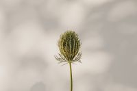 Kaboompics - Bright and warm free backgrounds or wallpapers