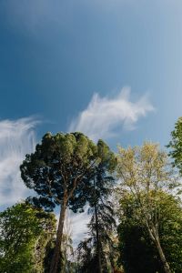 Kaboompics - The Buen Retiro Park in Madrid, Spain