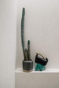 Kaboompics - Black Handbag and Turquoise Fabric Beside Cactus