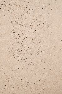 Kaboompics - Pale Beige Sand with Scattered Dark Mineral Grains, Minimal Beach Texture Background