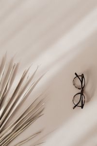 Kaboompics - Eyeglasses Beside Palm Fronds on Beige Background