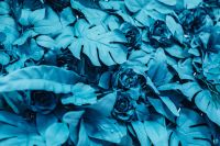 Kaboompics - Painted Fake Flowers