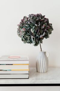 Kaboompics - Hydrangea Bouquet in a Striped Ceramic Vase with Books