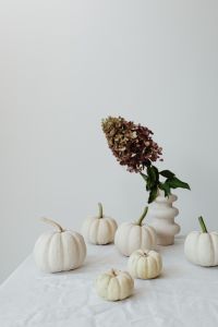 Kaboompics - Dried Hydrangea in White Vase with Mini Pumpkins