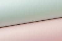 Kaboompics - Minimal Mint and Blush Paper Background with a Diagonal Division