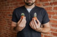 Kaboompics - Miniature cacti in clay pots