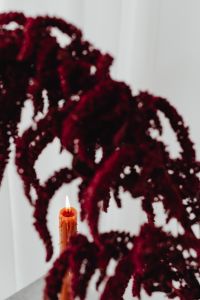 Kaboompics - Amaranthus and Candle Minimal Still Life