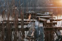 Kaboompics - Weathered Wooden Boardwalk Through Tall Lakeside Reeds