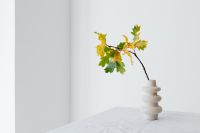 Kaboompics - Minimal Oak Branch Arrangement in a White Vase