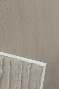 Kaboompics - Soft-Focus Gray Plaster Texture with Fine Grain