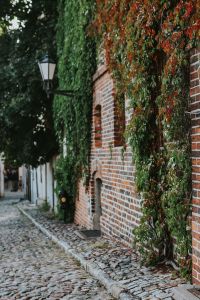 Old building covered in vine