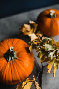 Autumn Pumpkin