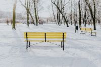 Kaboompics - Two Yellow Park Benches Seen from Behind in Fresh Snow