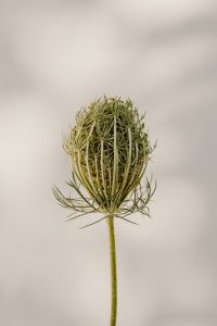 Kaboompics - Bright and warm free backgrounds or wallpapers