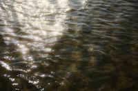 Kaboompics - Sparkling Sea Surface with Sun Reflections