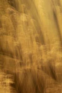 Kaboompics - Vertical Golden Light Painting Streaks, Soft Abstract Background Texture for Design