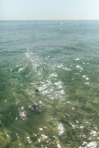 Kaboompics - Soft Sea Water Texture at Muted Golden Hour