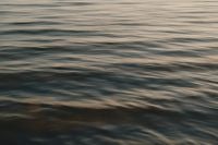 Kaboompics - Dark Sea Water Texture with Warm Light Reflection, Baltic