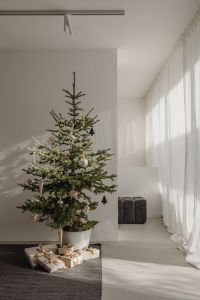 Kaboompics - Christmas Tree with Wrapped Gifts by a Bright Window