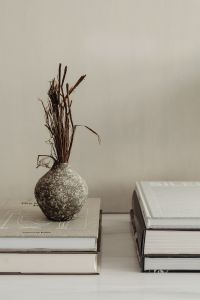 Kaboompics - Neutral Interior Styling with Ceramic Vase, Dried Branches and Books