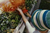 Kaboompics - Overhead Woman Tending Red Berries in a Sunlit Garden