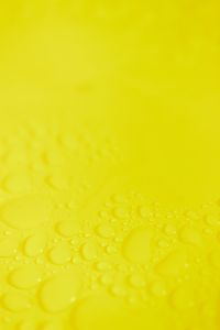 Kaboompics - Yellow Water Drops With Copy Space Above