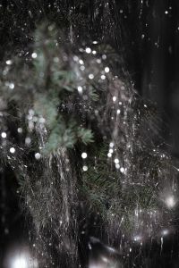 Kaboompics - Black and White Sparkling Silver Christmas Tree