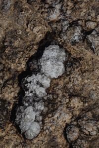 Kaboompics - Dark Rocky Texture Crossed by White Mineral Veins