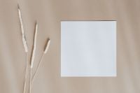 Kaboompics - Blank Stationery Card Mockup with Dried Grass and Beige Copy Space