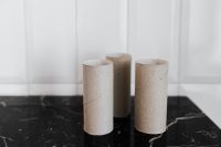 Kaboompics - Ran out of toilet paper - empty