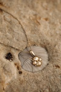 Kaboompics - Close-Up Pearl Pendant Necklace on a Scallop Shell