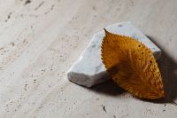 Kaboompics - Dried Golden Leaf on White Marble and Speckled Stone