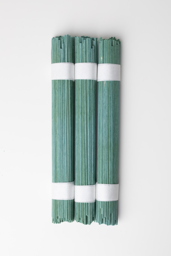 Bundled Green Rice Spaghetti Noodles for Gluten-Free Recipe Photography ...