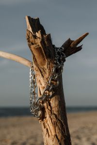 Kaboompics - Layered Silver Chains Hanging from Driftwood against the Sea