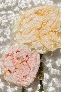 Kaboompics - Pink and Cream Flower Petals Distorted Through Textured Glass, Soft Floral Wallpaper