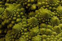 Kaboompics - Green Romanesco Cauliflower Texture, Geometric Vegetable Macro
