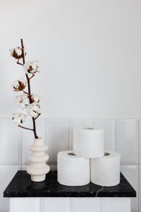 Kaboompics - Toilet Paper
