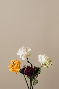 Kaboompics - Bouquet Of Colorful Dried Flowers On Beige
