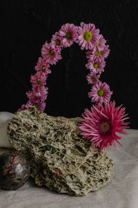 Kaboompics - Close-Up Pink Flower Loop Arrangement