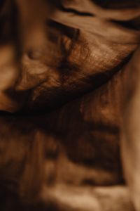 Kaboompics - Folded Edge of a Dried Banana Leaf in Low Light
