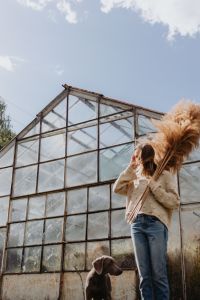 Kaboompics - Back View of Woman Carrying Pampas Grass in a Greenhouse