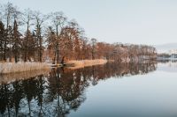 Kaboompics - Winter walk by the lake