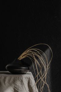 Kaboompics - Black Ceramic Vase with Long Dried Grass