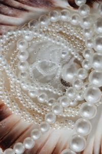 Kaboompics - Pearl Necklaces and Silver Clasp in a Brown Scallop Shell, Macro Jewelry Flat Lay