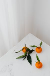 Kaboompics - Mandarin Oranges and Long Green Leaves on White Marble for Recipe Blog Photography