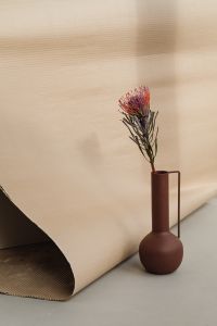Kaboompics - Floral Still Life against a Soft White Backdrop