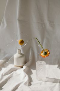 Minimalist Floral Arrangements on White Fabric